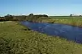 River Ure, Roecliffe