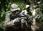 Royal Marines