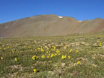 Photo of San Luis Peak