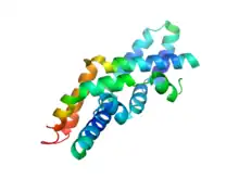 Saposin C dimer in an open conformation (PDB: 2QYP).
