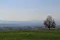 Lukavac - panorama
