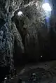 Petnica cave
