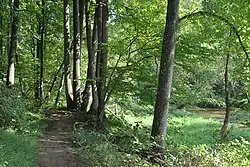 Seneca Creek Greenway trail and Great Seneca Creek in Germantown, MD