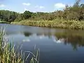 The river Silistar