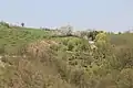 Sitarice - panorama