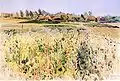 Maki, 1911 (The Field of Corn Poppies, watercolor, 1911, National Museum in Warsaw)