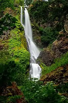 Starvation Creek Waterfall