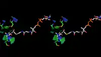 Stereoscopic depiction of choline and acetyl-CoA bound in ChAT active site - alternate angle. (PDB: 2FY3, PDB: 2FY5 - overlaid).