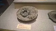 An unearthed bowl with a string of cash coins in it on display at the National Museum of Vietnamese History in Hanoi.