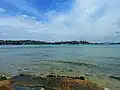 Port Jackson, as seen from Rose Bay.
