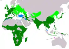 alt=Global range
breeding
resident
non-breeding
vagrant (seasonality uncertain)