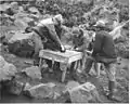 Tagging seal pup at Tolstoi rookery