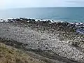 Tar Rocks from above at low tide.