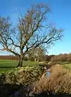 The Fleet river near Appleton Roebuck