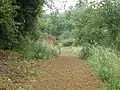 The Nene Way near Wadenhoe