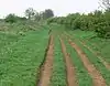 The Drift