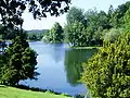 The Lake