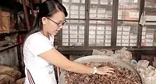 Image 67An ethnic Chinese woman in Malaysia grinds and cuts up dried herbs to make traditional Chinese medicine. (from Malaysian Chinese)