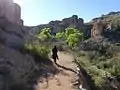 Hiking along the Main Trail.