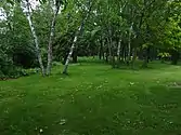 A grassy area surrounded by woods with a picnic table.