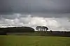 Cheesefoot Head