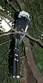 At Central Park Zoo, USA