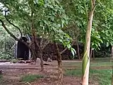 Tunnel for the Children's train at Kadri Park in Mangalore
