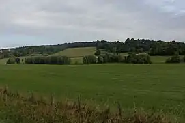 between Lemiers and Nijswiller, panorama