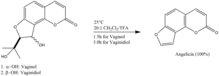 Formation of angelicin from vaginol.