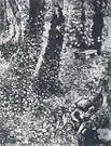 Ivy (Corner in the Garden of Saint-Paul Hospital), 1889, 92 x 72&nbsp;cm, Location unknown (F609)