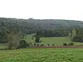 View across valley to Chedworth Woods