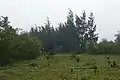Entry points on the hills