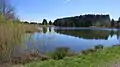 Weiher (ponds) of Wald