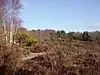 Sandhurst to Owlsmoor Bogs and Heaths