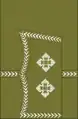 Lieutenant