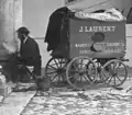 Carriage laboratory by J. Laurent, in Valladolid, Spain, in the year 1872. Fototeca del Instituto del Patrimonio Cultural de España.